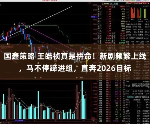 国鑫策略 王皓祯真是拼命！新剧频繁上线，马不停蹄进组，直奔2026目标