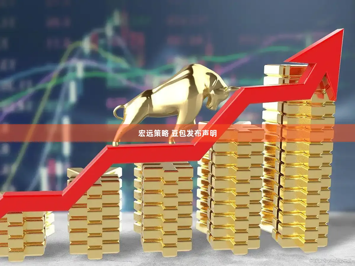 宏远策略 豆包发布声明