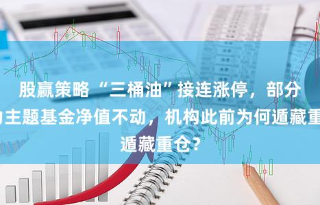 股赢策略 “三桶油”接连涨停，部分动力主题基金净值不动，机构此前为何遁藏重仓？