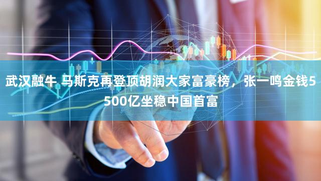 武汉融牛 马斯克再登顶胡润大家富豪榜，张一鸣金钱5500亿坐稳中国首富