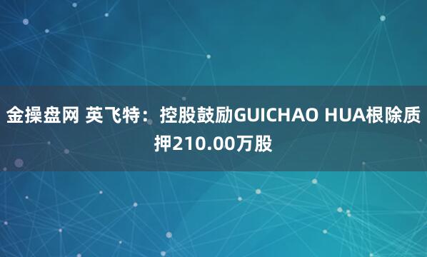 金操盘网 英飞特：控股鼓励GUICHAO HUA根除质押210.00万股
