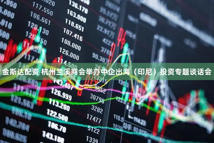 金斯达配资 杭州兰溪商会举办中企出海（印尼）投资专题谈话会
