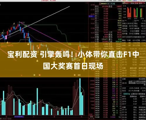 宝利配资 引擎轰鸣！小体带你直击F1中国大奖赛首日现场