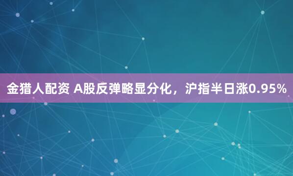 金猎人配资 A股反弹略显分化，沪指半日涨0.95%
