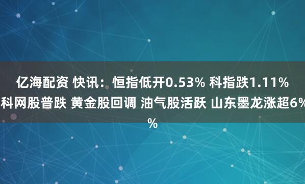 亿海配资 快讯：恒指低开0.53% 科指跌1.11% 科网股普跌 黄金股回调 油气股活跃 山东墨龙涨超6%
