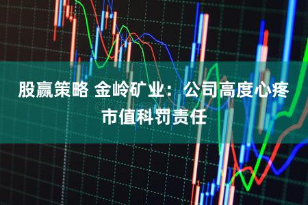 股赢策略 金岭矿业：公司高度心疼市值科罚责任