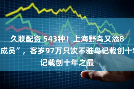 久联配资 543种!上海野鸟又添8位“新成员”,客岁97万只次不雅鸟记载创十年之最