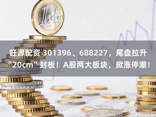 旺源配资 301396、688227，尾盘拉升“20cm”封板！A股两大板块，掀涨停潮！