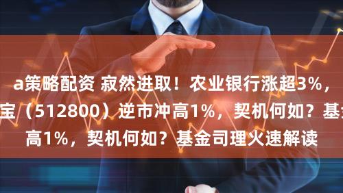 a策略配资 寂然进取！农业银行涨超3%，百亿银行ETF华宝（512800）逆市冲高1%，契机何如？基金司理火速解读
